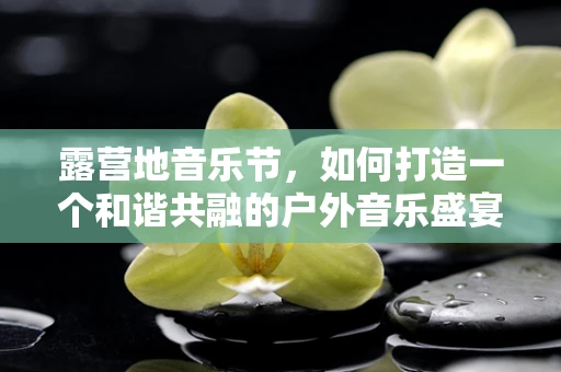 露营地音乐节，如何打造一个和谐共融的户外音乐盛宴？