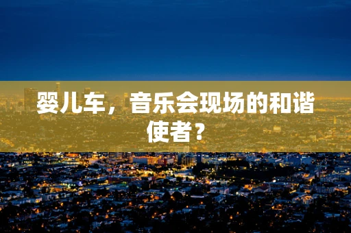 婴儿车，音乐会现场的和谐使者？