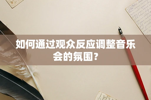 如何通过观众反应调整音乐会的氛围？