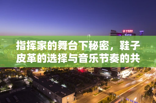 指挥家的舞台下秘密，鞋子皮革的选择与音乐节奏的共鸣