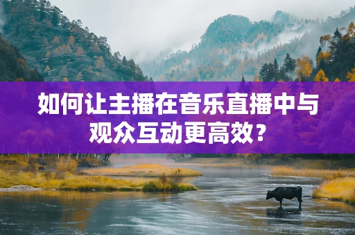 如何让主播在音乐直播中与观众互动更高效？