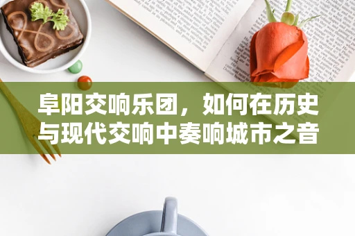 阜阳交响乐团，如何在历史与现代交响中奏响城市之音？