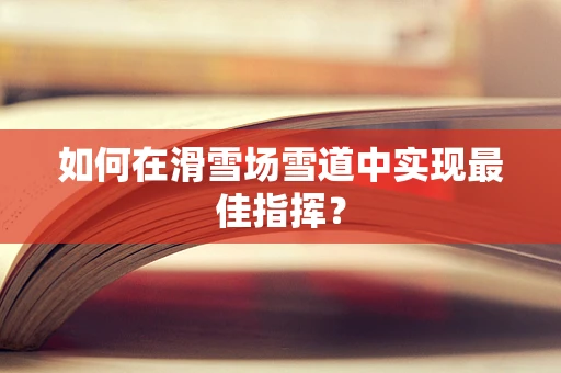 如何在滑雪场雪道中实现最佳指挥？