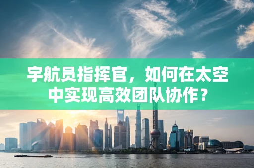 宇航员指挥官，如何在太空中实现高效团队协作？