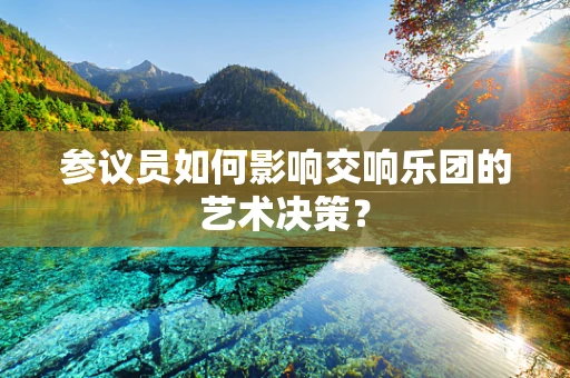 参议员如何影响交响乐团的艺术决策？