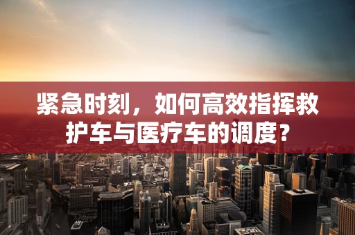 紧急时刻，如何高效指挥救护车与医疗车的调度？
