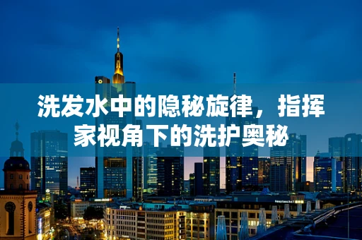 洗发水中的隐秘旋律，指挥家视角下的洗护奥秘
