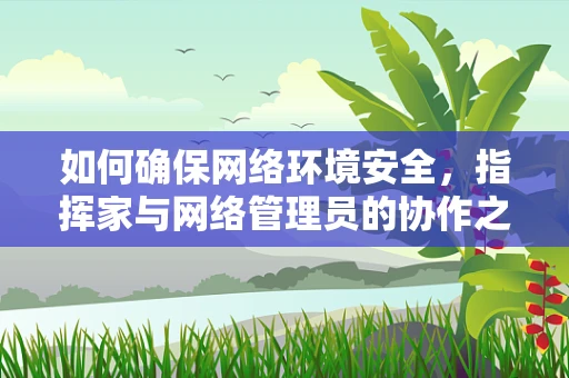 如何确保网络环境安全，指挥家与网络管理员的协作之道？