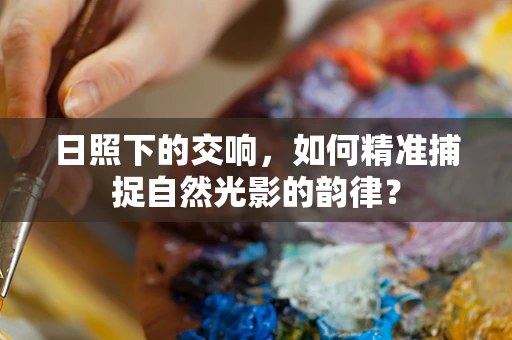 日照下的交响，如何精准捕捉自然光影的韵律？