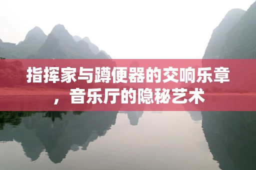 指挥家与蹲便器的交响乐章，音乐厅的隐秘艺术