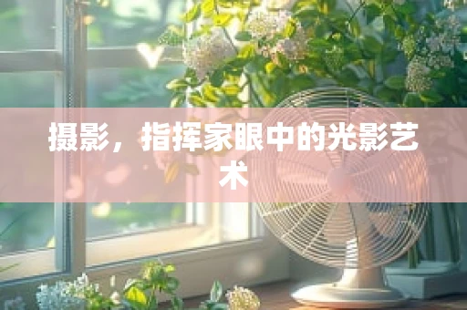 摄影，指挥家眼中的光影艺术