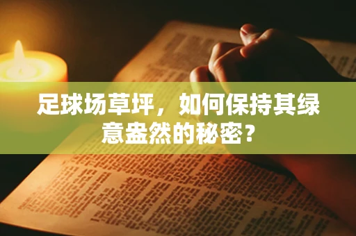 足球场草坪，如何保持其绿意盎然的秘密？