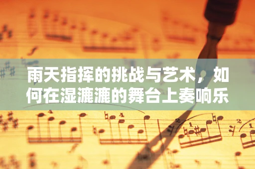 雨天指挥的挑战与艺术，如何在湿漉漉的舞台上奏响乐章？