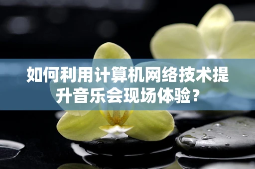 如何利用计算机网络技术提升音乐会现场体验？