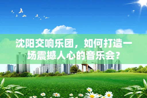沈阳交响乐团，如何打造一场震撼人心的音乐会？