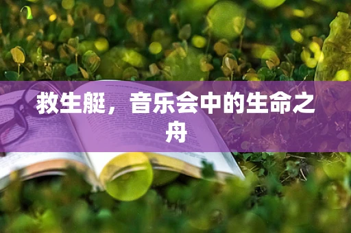 救生艇，音乐会中的生命之舟