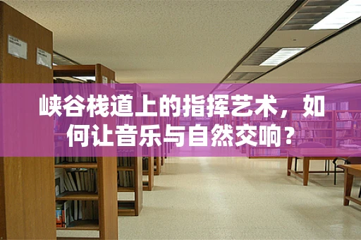 峡谷栈道上的指挥艺术，如何让音乐与自然交响？