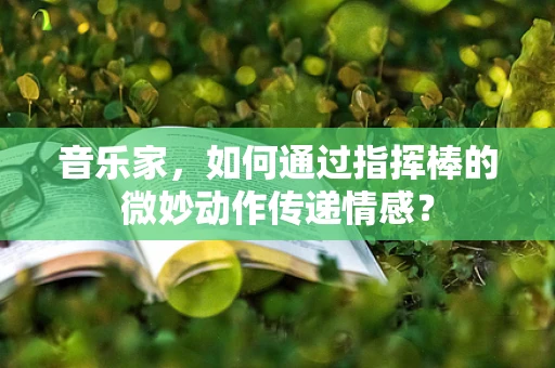 音乐家，如何通过指挥棒的微妙动作传递情感？