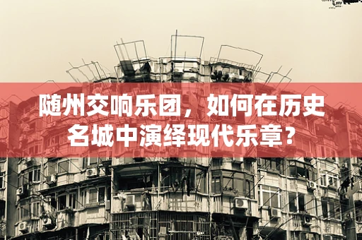 随州交响乐团，如何在历史名城中演绎现代乐章？