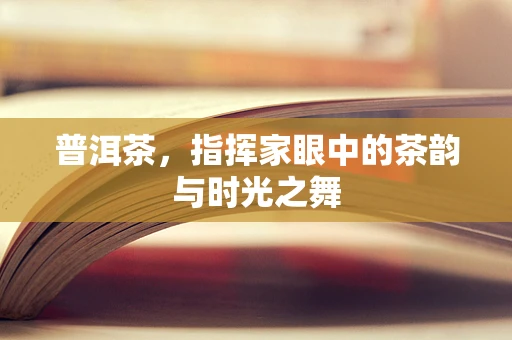 普洱茶，指挥家眼中的茶韵与时光之舞