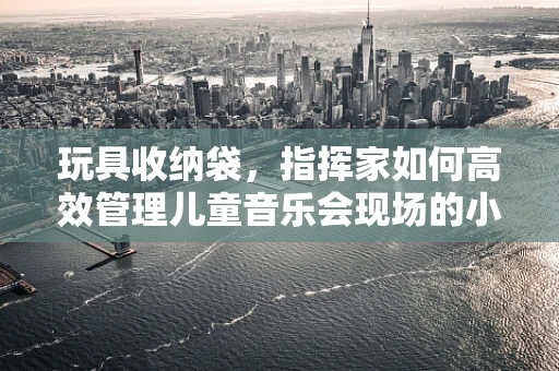 玩具收纳袋，指挥家如何高效管理儿童音乐会现场的小乐器？