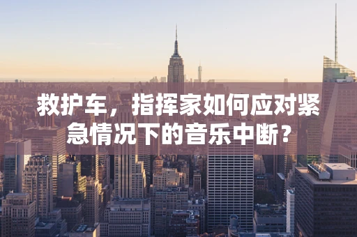 救护车，指挥家如何应对紧急情况下的音乐中断？
