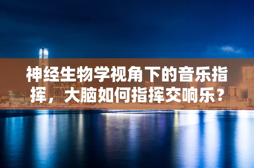 神经生物学视角下的音乐指挥，大脑如何指挥交响乐？