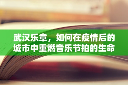 武汉乐章，如何在疫情后的城市中重燃音乐节拍的生命力？