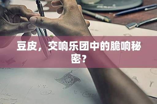 豆皮，交响乐团中的脆响秘密？