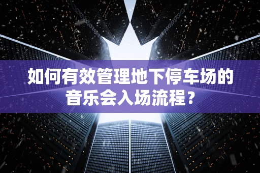 如何有效管理地下停车场的音乐会入场流程？
