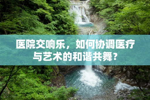 医院交响乐，如何协调医疗与艺术的和谐共舞？