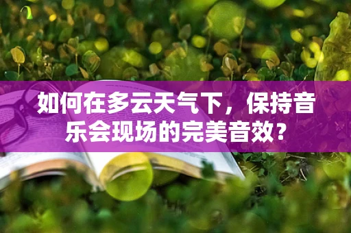 如何在多云天气下，保持音乐会现场的完美音效？