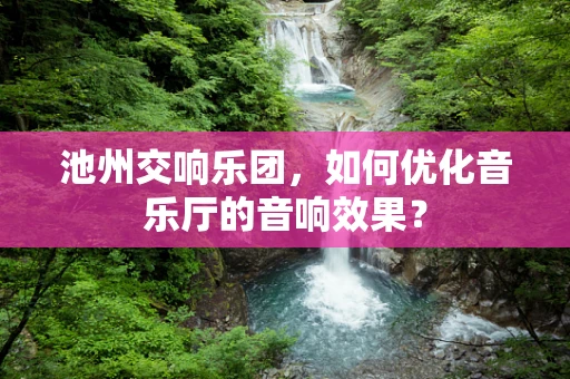 池州交响乐团，如何优化音乐厅的音响效果？