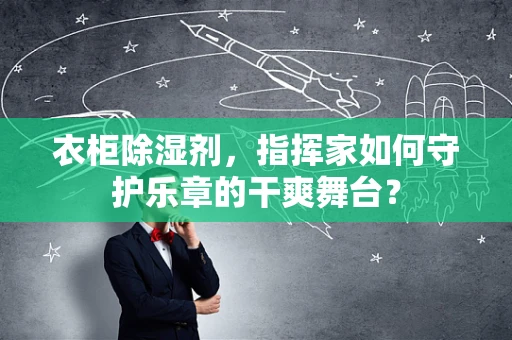 衣柜除湿剂，指挥家如何守护乐章的干爽舞台？