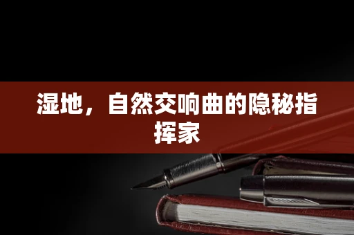 湿地，自然交响曲的隐秘指挥家