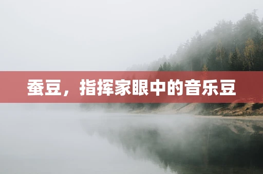 蚕豆，指挥家眼中的音乐豆