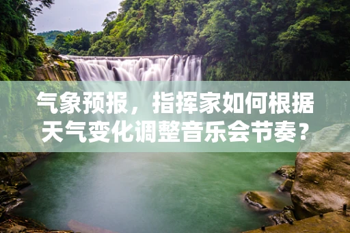 气象预报，指挥家如何根据天气变化调整音乐会节奏？
