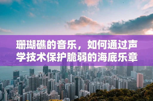 珊瑚礁的音乐，如何通过声学技术保护脆弱的海底乐章？
