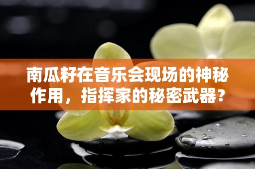 南瓜籽在音乐会现场的神秘作用，指挥家的秘密武器？