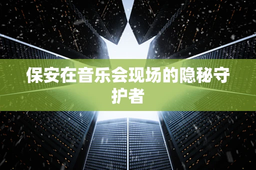 保安在音乐会现场的隐秘守护者