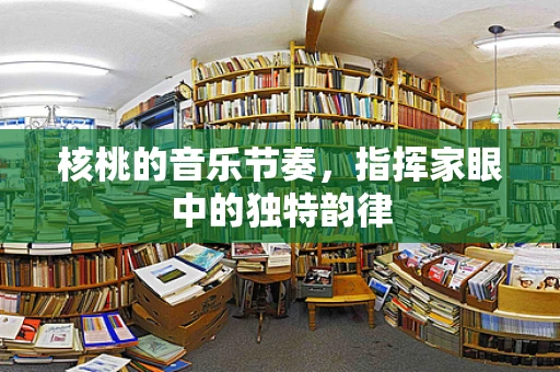 核桃的音乐节奏，指挥家眼中的独特韵律