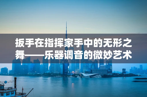 扳手在指挥家手中的无形之舞——乐器调音的微妙艺术