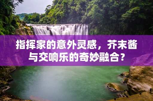 指挥家的意外灵感，芥末酱与交响乐的奇妙融合？