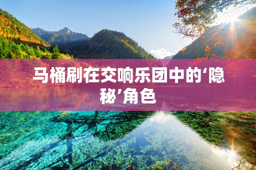 马桶刷在交响乐团中的‘隐秘’角色