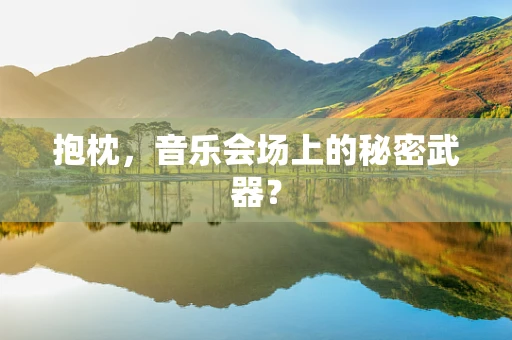 抱枕，音乐会场上的秘密武器？