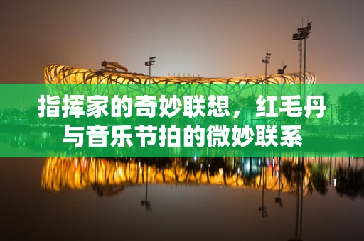 指挥家的奇妙联想，红毛丹与音乐节拍的微妙联系