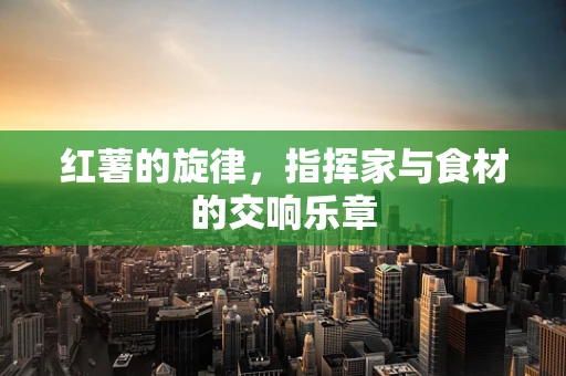 红薯的旋律，指挥家与食材的交响乐章