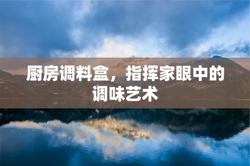 厨房调料盒，指挥家眼中的调味艺术