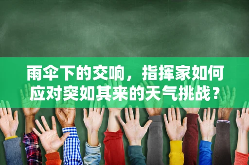 雨伞下的交响，指挥家如何应对突如其来的天气挑战？