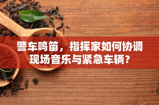 警车鸣笛，指挥家如何协调现场音乐与紧急车辆？
